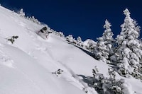 Downhill Wintersport Bikes Image 2