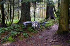 Lost Hiker-Tracking Drones