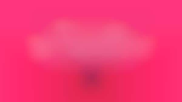 Valentine's Day GIFs