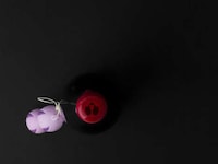 Sensual Wine Bottles Image 3