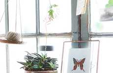 Seed-Infused Greeting Cards