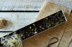 Kitchen Microgreens Kits