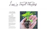 Lifestyle Flower Shops Image 3