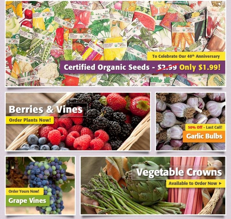 Web-Based Farmers Markets