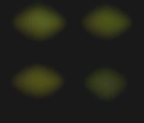 Virtual Grass Catalogs