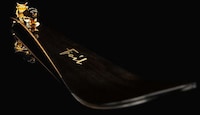 Luxurious Gold-Plated Skis Image 2