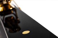 Luxurious Gold-Plated Skis Image 4
