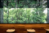 Stately Glass Case Cafes Image 4