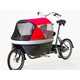 Hybrid Bicycle Baby Carriers Image 7