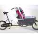 Hybrid Bicycle Baby Carriers Image 8