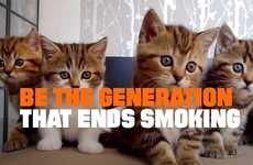 Anti-Smoking Cat Ads
