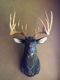 Cruelty-Free Taxidermy Image 3