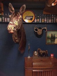 Cruelty-Free Taxidermy Image 4