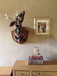 Cruelty-Free Taxidermy Image 7