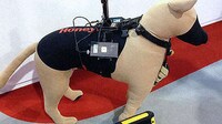 Canine Battle-Suits Image 2
