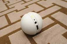 Rolling Surveillance Robots