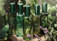 Herb-Inspired Fragrances Image 2