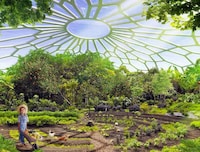 Food-Growing Towers Image 5