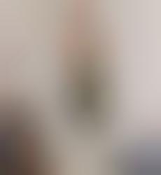 Life-Size Wall Stickers: Fathead Decals