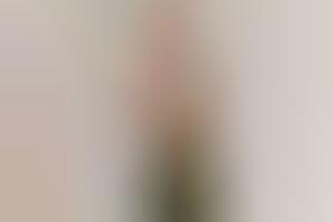 Life-Size Wall Stickers: Fathead Decals