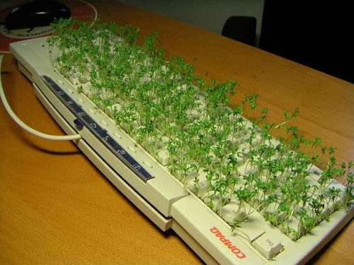 53 Viral Pranks and Hoaxes