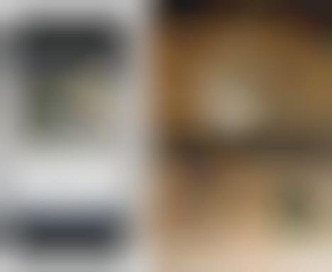 DIY iPhone Dogcams