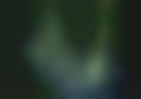 Green Metropolises