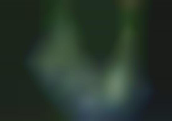 Green Metropolises