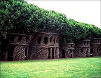 Organic Tree Shaping