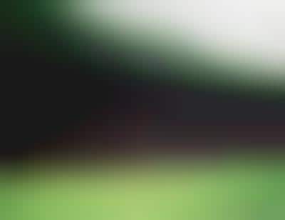 Organic Tree Shaping