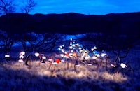 Domestic Lighting in the Wild Image 3