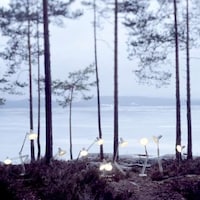 Domestic Lighting in the Wild Image 4