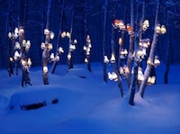 Domestic Lighting in the Wild Image 5