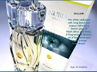 Anatomy-Inspired Perfume Packaging Image 6