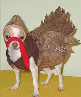 Inedible Turkeys