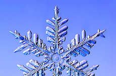 Macro Snow Crystal Photography
