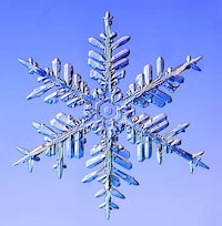 Macro Snow Crystal Photography