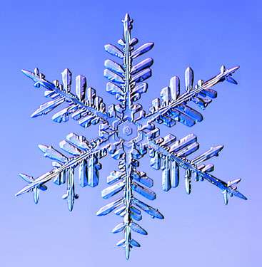 Macro Snow Crystal Photography