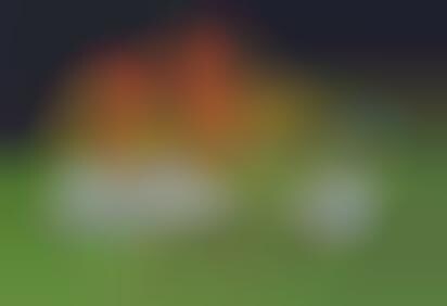 Soccer Players as Sheep