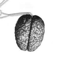 Bizarre Anatomical Jewelry Image 4