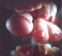 A Day in the Life of a Mouth Image 6