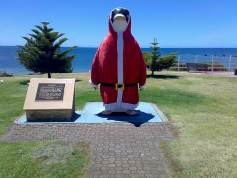 Penguins Dressed in Santa Suits