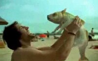 Bizarre Crossover Dogvertising Image 3