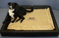 5-Star Pet Hotels