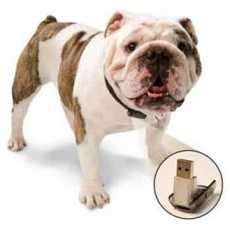 25 Deluxe Doggy Gifts for Pampered Pooches