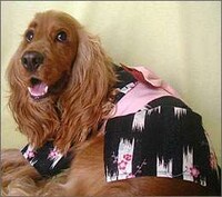 Geisha Dogs Image 8
