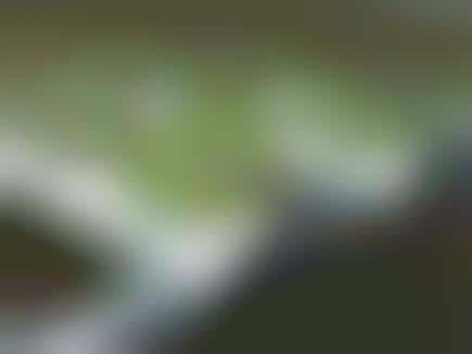 DIY Home Produce Gardens