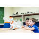 Language-Teaching Robots Image 5