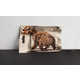 Prehistoric Protein Bars Image 4