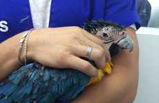 3D-Printed Bird Beaks